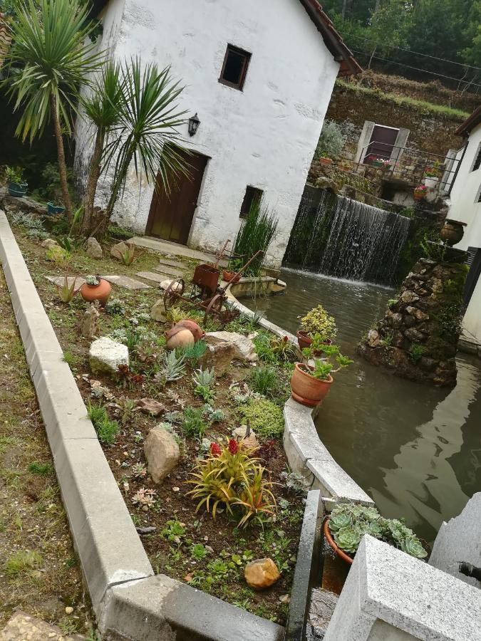 Casa Do Engenho Pensionat Caldas de Sao Jorge Eksteriør billede